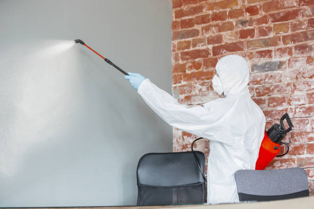 Best Mold Prevention Services  in Harpersville, AL