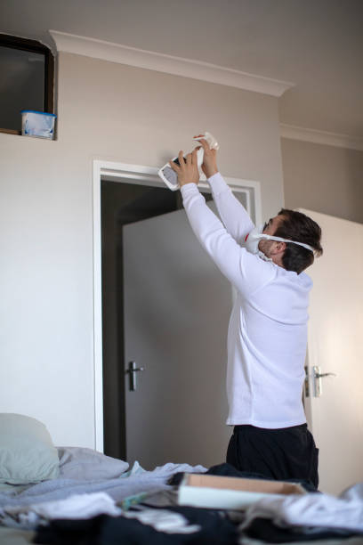 Best Attic Mold Removal  in Harpersville, AL