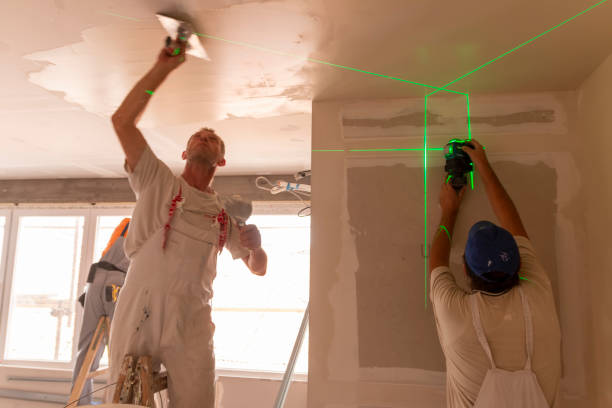 Best Mold Damage Restoration  in Harpersville, AL