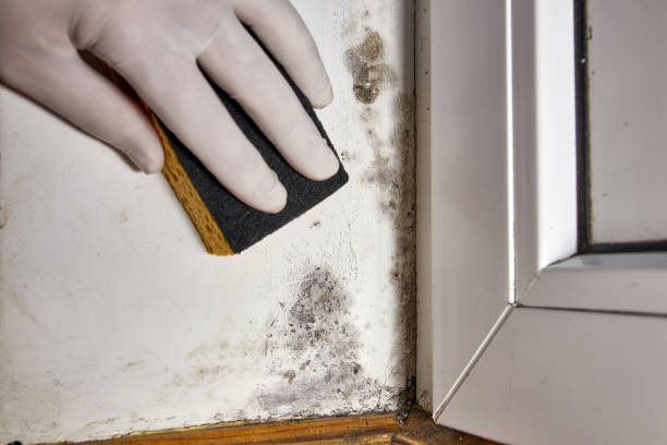 Best Indoor Air Quality Assessment  in Harpersville, AL